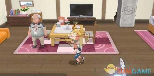 精灵宝可梦皮卡丘伊布PVP攻略,宝可梦皮卡丘和伊布攻略