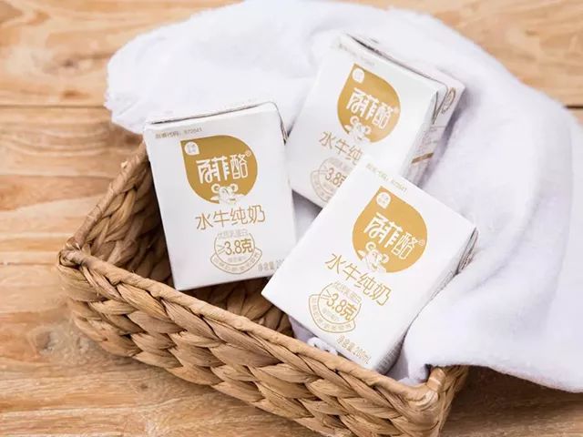 一条拼团|“百菲酪”水牛奶,日东红茶经典奶茶