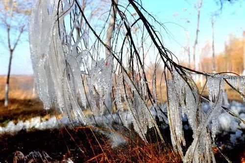 冬日美好请查收,冬日宁夏美景