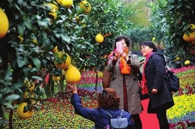 小众宝藏旅行地江浙沪冬天,冬日有阳光心情会很好