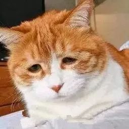 出行｜别了，火车票！铁路总公司宣布大消息！