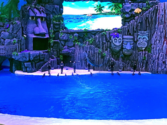 长隆珠海海洋王国网红打卡,珠海长隆海洋王国哪里买门票便宜