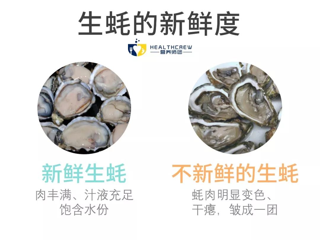 蚝情万丈,蚝情万丈图片