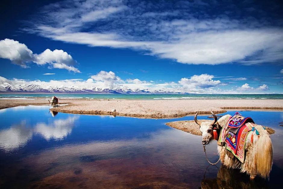 中国各省都有什么好吃的特产,全国各省著名百年老字号特产汇总