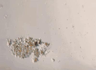 比杜蕾斯还薄的*裤内**，竟能抑制99%的细菌，穿上就像裸着一样