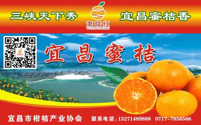 返乡创业开工厂,返乡创业开榨油坊