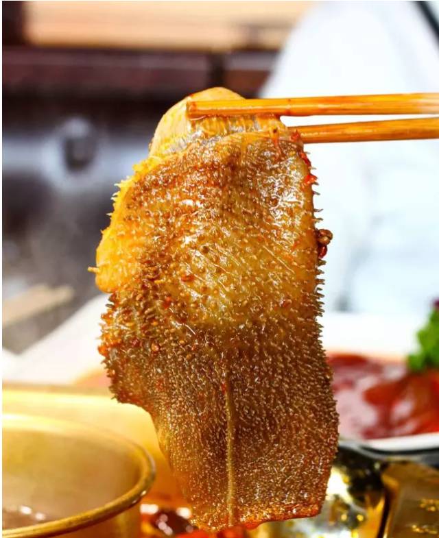 大渝火锅19.9元抢100元限什么菜品,重庆豪渝火锅黄石店在哪里