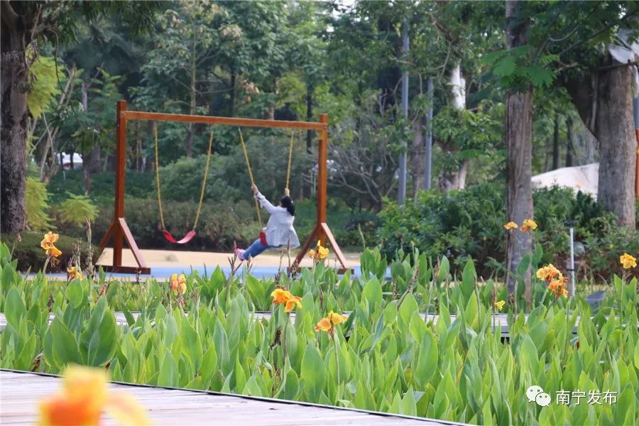 百里秀美邕江夜景,百里秀美邕江