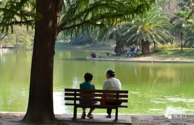 湛江群众投诉电话,湛江各部门投诉电话