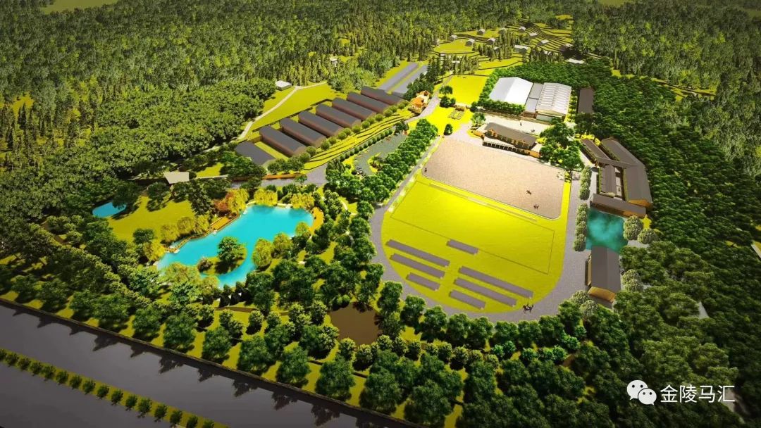 单项奖金132000元，“汤山温泉杯”第四届南京马术公开赛裁判员名单揭晓