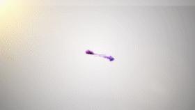 大学生活不迷茫|金牌讲师周思成先生做客第七十五期东林文化大讲堂