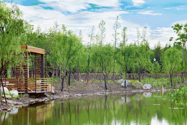 上海魔都景区,上海魔都必去景点免费