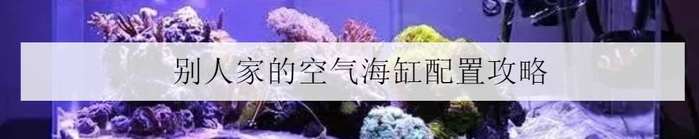 海水小百科紫月神仙鱼,海水小百科扁脑珊瑚