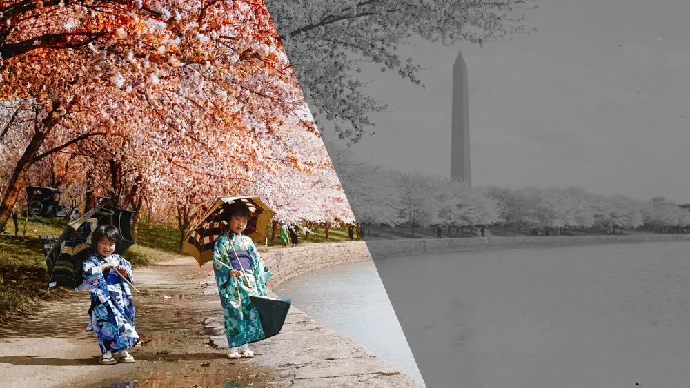 美图怎么把黑白照片变成彩色,手机如何将黑白照片变成彩色