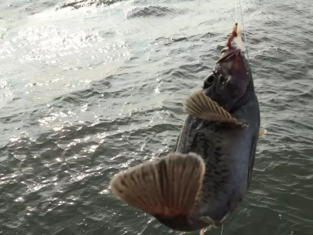 大连适合避暑的地方,大连避暑