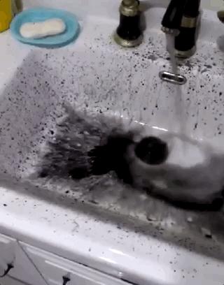 自来水管流淌黄水,水管总是流出铁锈水