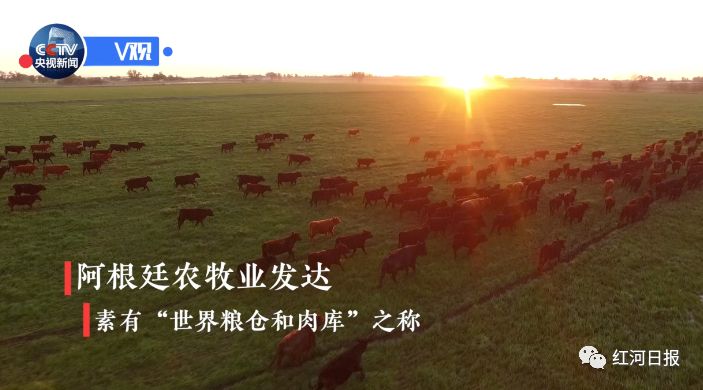 你好阿根廷语怎么翻译,你好阿根廷