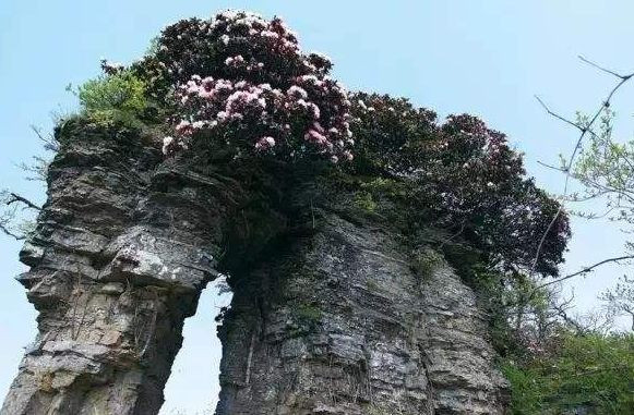 巴中风景区排行榜前十名,巴中网红打卡