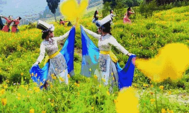 成都周边野花,成都周边花谷景区推荐