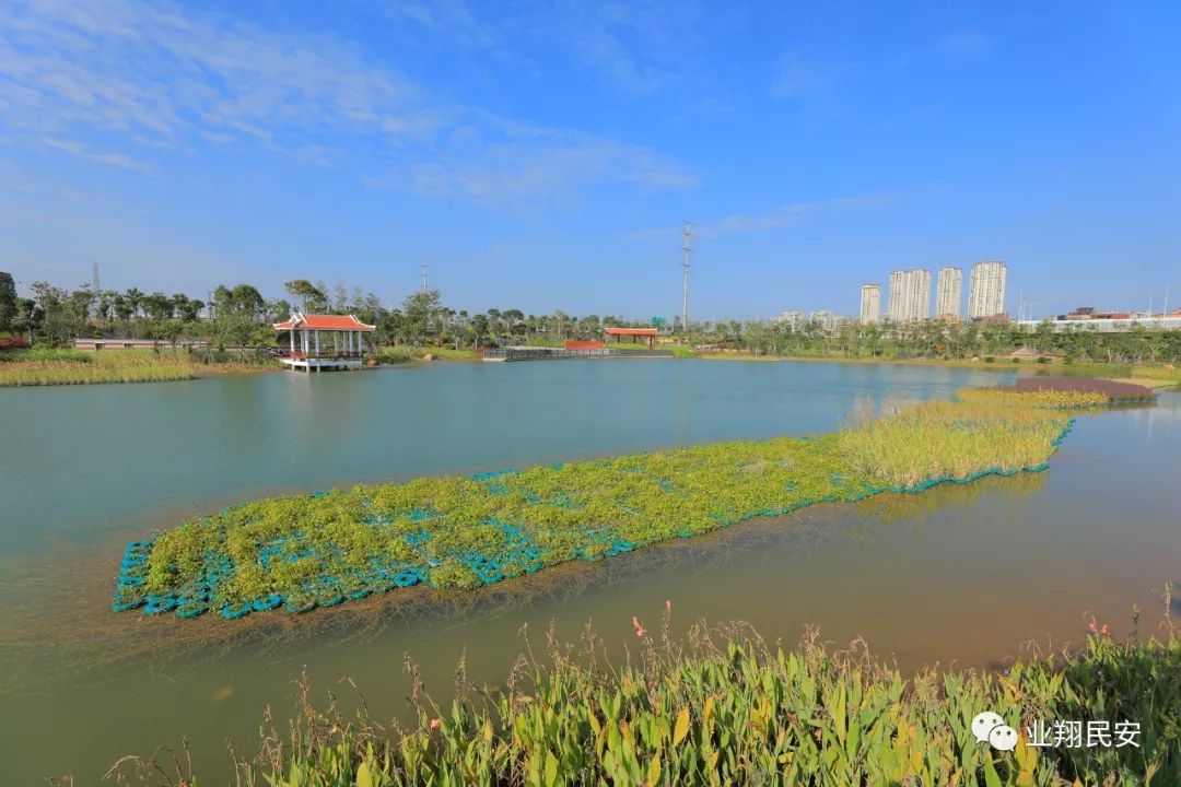 厦门翔安附近免费的湿地公园,翔安这边公园