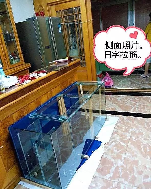 最简单的方法自制鱼缸背景,小型鱼缸制作全过程