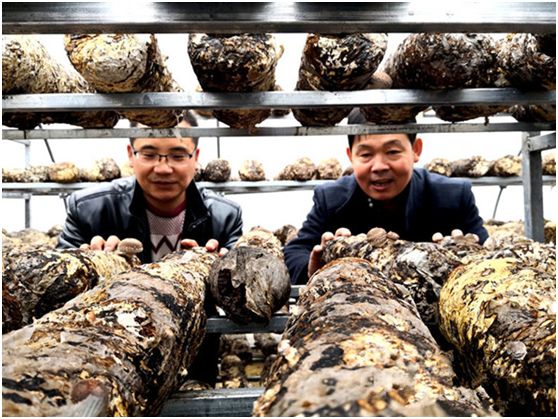 陇南市第一人民医院招聘报名,武都区第一人民医院招聘