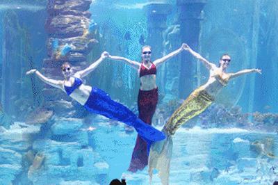 明天正式开通使用！含飞马水城、动物园、暖暖亲子餐厅！锡澄宜三地合作市民卡“2.0”版来了！