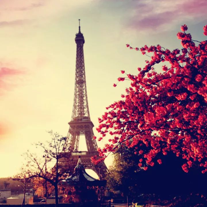 正在被美瞳毁掉的女孩,正在被美瞳毁掉的女人们