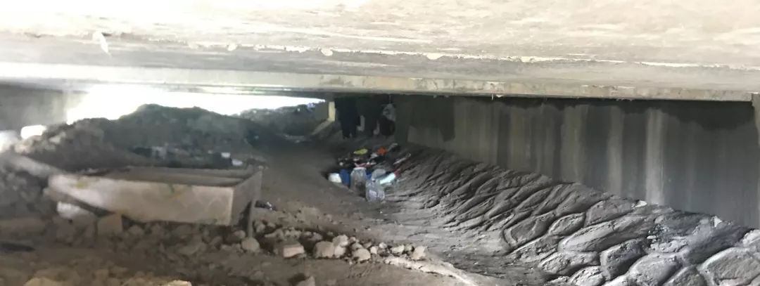 2023年暖心正能量事件,正能量真实暖心故事火爆