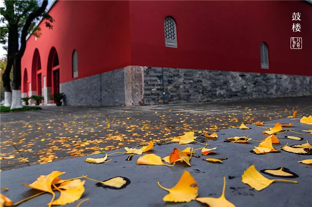 鼓楼70岁的老人免费吗,鼓楼60岁以上老人免票吗