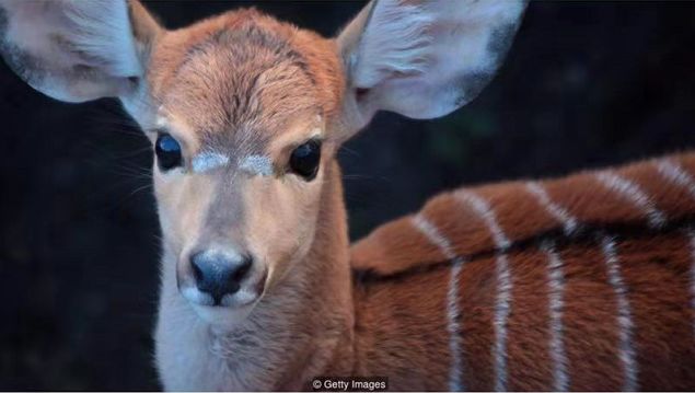 人工智能改变世界的视频,人工智能研究视角看AI发展