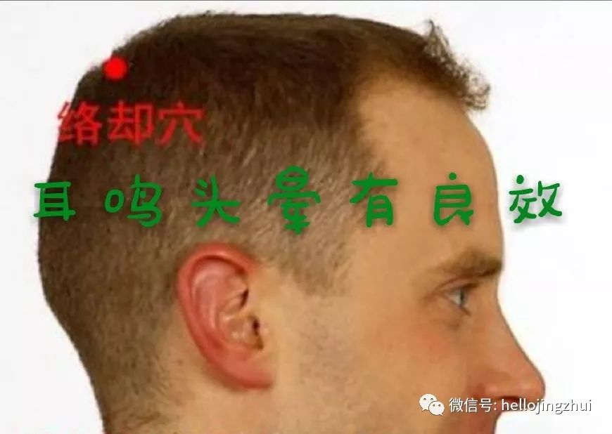 老中医治耳鸣的11个特效方,治耳鸣耳聋的老中医