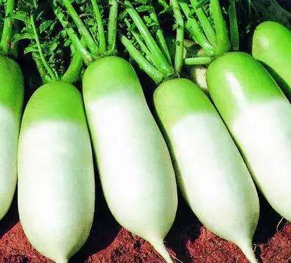 保鲜膜保鲜食物真的能保健康吗,不是所有食物都适合保鲜膜