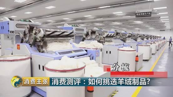 羊绒衫领发黄怎样清洗才正确,学会这一招清洗得干干净净