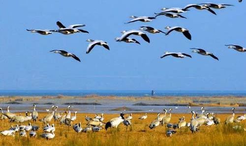 威宁草海一日游最佳攻略,威宁草海之旅