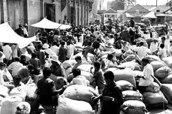 买年货的经历和体会,亲身购物经历500字