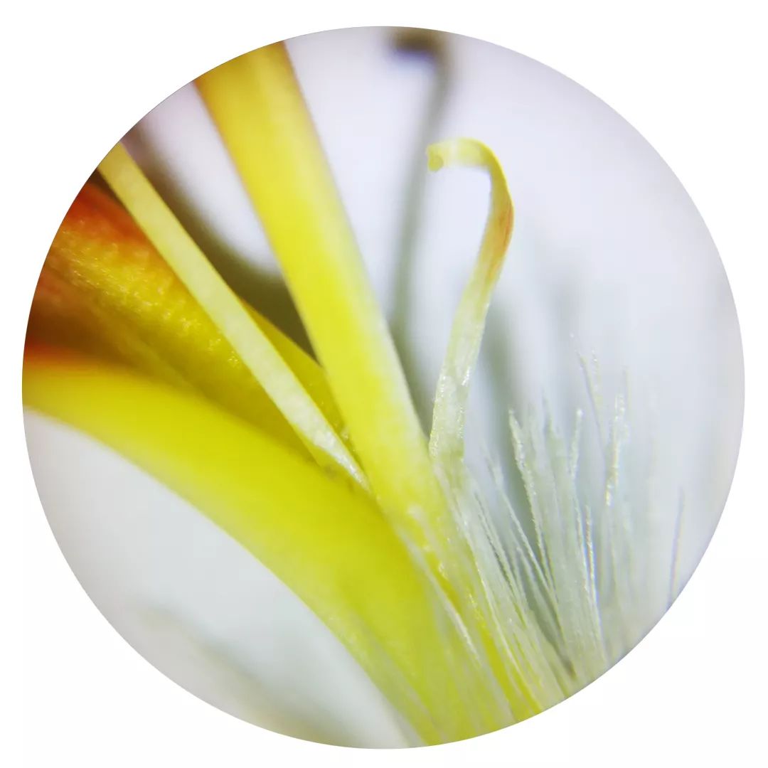 双12给宝宝囤的宝宝用品,双12什么东西适合宝宝囤