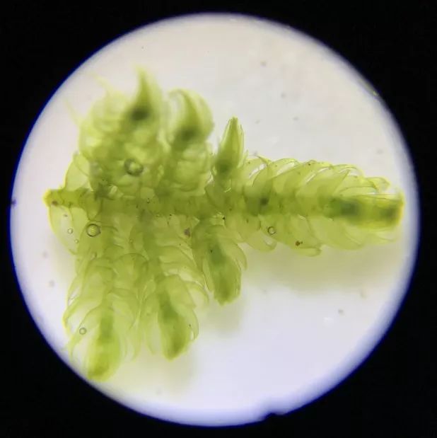 双12给宝宝囤的宝宝用品,双12什么东西适合宝宝囤