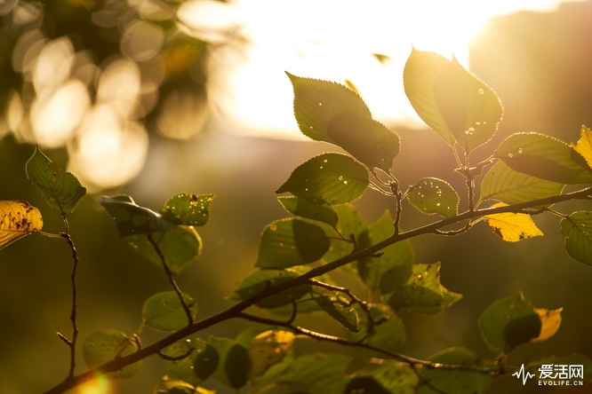 性价比之王富士x-t30无反相机推荐,富士xt3全面评测