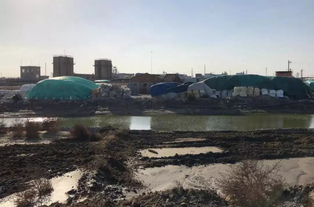 山东PITI再发布——绿行齐鲁12月月报