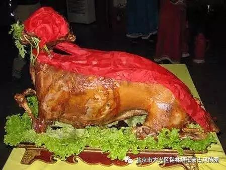 慧游旅行,京郊休闲度假游玩攻略