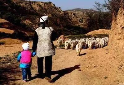 陕北说一个人狡啥意思,陕北人是怎样一群人