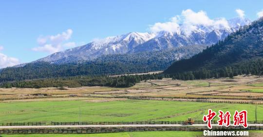 原来你是这样“富有”的*藏西**