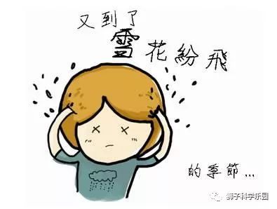 为什么头上有像虱子一样的头皮屑,头皮屑和虱子有什么区别