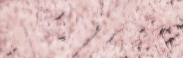 窦漪房的聪明沉稳,窦漪房有多漂亮