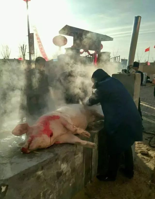 巴彦淖尔李军芳,内蒙李军芳