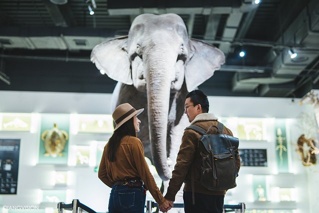 成都怎么玩一天一夜,如何在成都耍一天