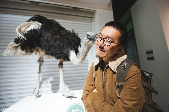 成都怎么玩一天一夜,如何在成都耍一天