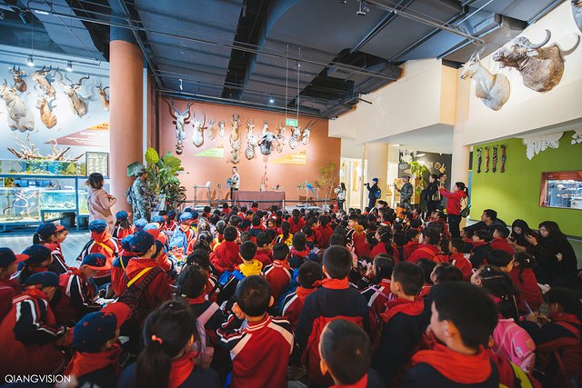 成都怎么玩一天一夜,如何在成都耍一天