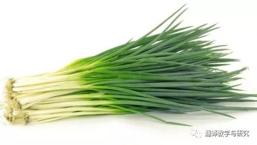 古代蔬菜水果传入中国的时间,各个朝代传入中国的蔬菜和水果